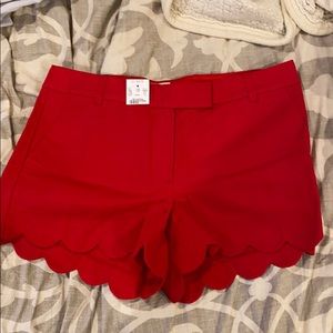 JCrew scallop short, with tags never worn